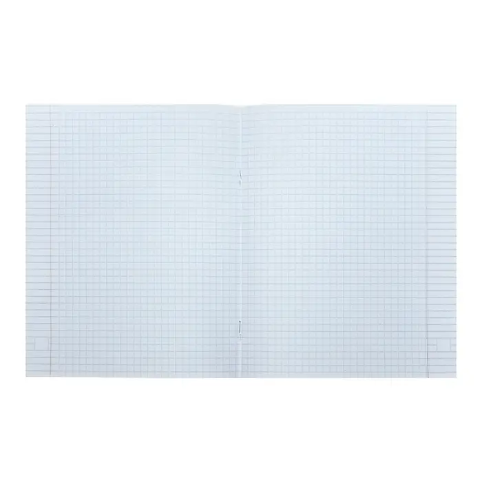 Тетрадь 48 листов в клетку, Calligrata, Neon, МИКС