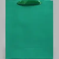 Пакет подарочный ламинированный &laquo;Зелёный&raquo;, 26&times;32&times;12 см