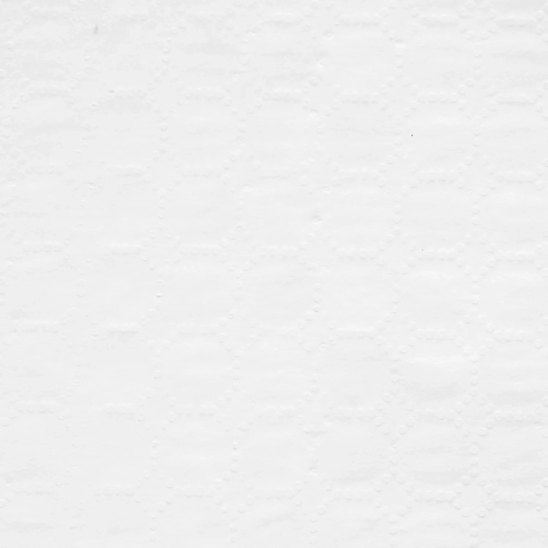 Полотенца бумажные д/дисп. Luscan Professional 2сл143м 6рул/уп