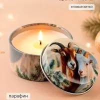 Свеча ароматическая, в железной банке &laquo;Пара&raquo;, еловые ветки, d=4.8 см