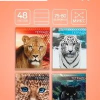 Тетрадь 48 листов в линейку Calligrata &laquo;Дикие кошки&raquo;, обложка мелованная бумага, блок №2, МИКС