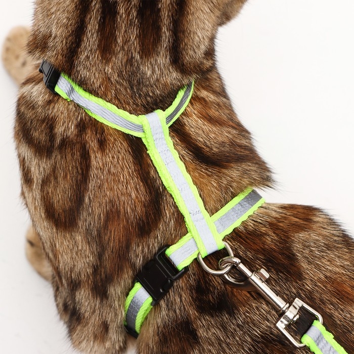 Комплект со светоотражающей лентой, ошейник 120 х 1 см, ОГ 26-40 см, зеленый Комплект со светоотражающей лентой, ошейник 120 х 1 см, ОГ 26-40 см, зеленый