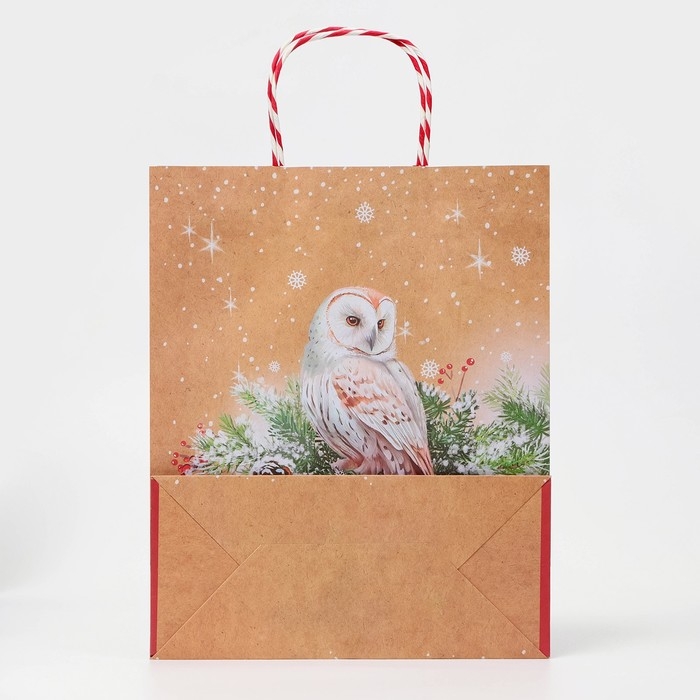 Новый год. Пакет бумажный подарочный новогодний крафт Новый год. Пакет бумажный подарочный новогодний крафт "Совушка" 18 х 22,3 х 10 см.