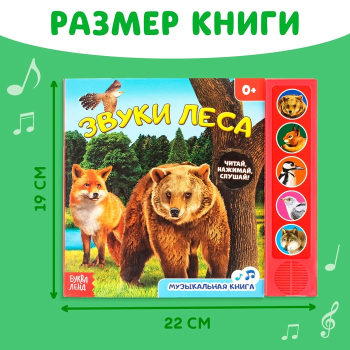 Музыкальная книга «Звуки леса», 10 стр. Музыкальная книга «Звуки леса», 10 стр.
