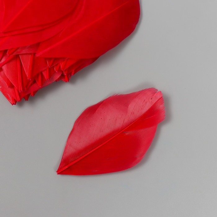 Перо декоративное гусиное "Алое" в форме листа набор 40 шт h=5-7 см