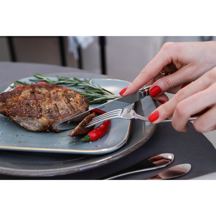 Нож столовый из нержавеющей стали «Беркли», длина 23,8 см, цвет серебряный Нож столовый из нержавеющей стали «Беркли», длина 23,8 см, цвет серебряный