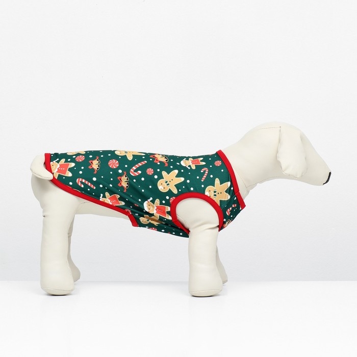 Толстовка  Толстовка "Пряня", размер XS (ДС 20, ОШ 20, ОГ 30 см), зелёная