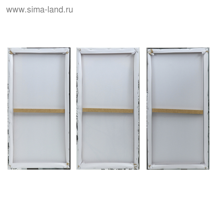 Картина модульная на подрамнике  Картина модульная на подрамнике "Воздушный цветок" 99x65 см. (3-33х65)