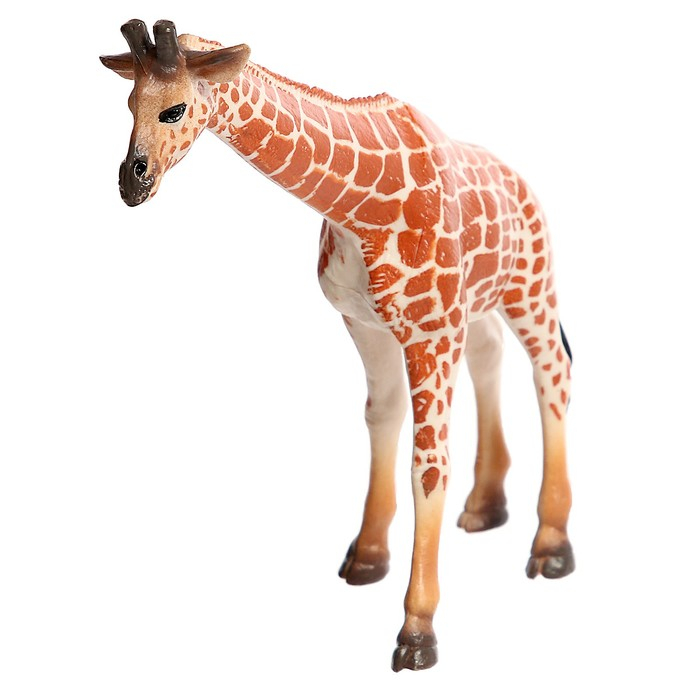 Набор животных «Звери Африки», 6 фигурок Набор животных «Звери Африки», 6 фигурок