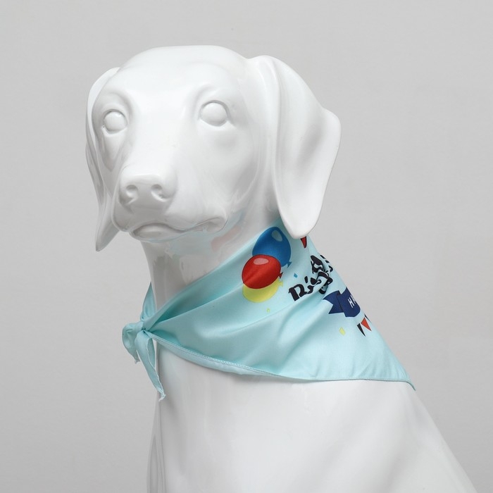 Платок для животных "С днём рождения", 15 х 12 х 1 см, голубой