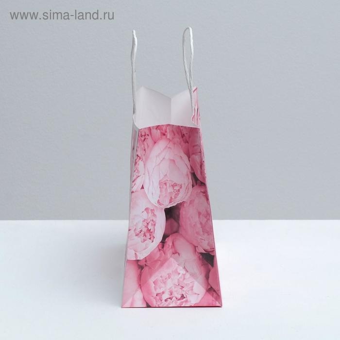 Пакет подарочный крафтовый, упаковка, «Пионы», 25 х 22 х 12 см Пакет подарочный крафтовый, упаковка, «Пионы», 25 х 22 х 12 см