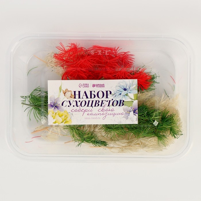 Набор сухоцветов «Яркий день», цвет МИКС Набор сухоцветов «Яркий день», цвет МИКС