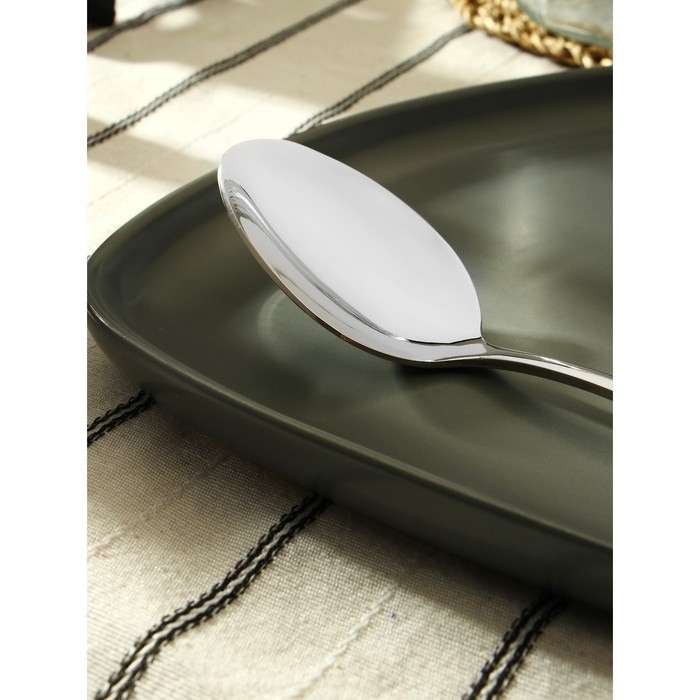 Ложка столовая из нержавеющей стали «Батиста», длина 20,5 см Ложка столовая из нержавеющей стали «Батиста», длина 20,5 см