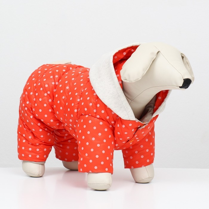 Комбинезон  Комбинезон "Для прогулки", размер 10 (ДС 21 см, ОГ 34 см, ОШ 24 см), оранжевый