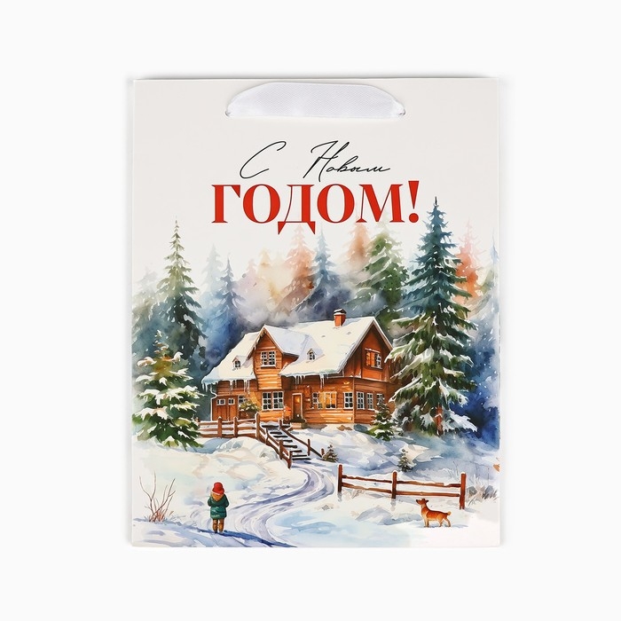 Пакет подарочный новогодний ламинированный «Зимний лес», деревня, MS 18 х 23 х 10 см , Новый год Пакет подарочный новогодний ламинированный «Зимний лес», деревня, MS 18 х 23 х 10 см , Новый год