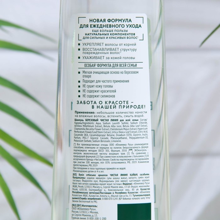 Шампунь для волос Чистая линия «Берёзовый», 400 мл Шампунь для волос Чистая линия «Берёзовый», 400 мл