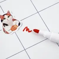 Магнитный планер А4 и стирающийся маркер "Котики" Магнитный планер А4 и стирающийся маркер "Котики"