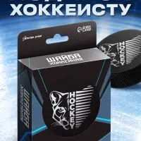 Шайба хоккейная Winter Star, взрослая, d=7.6 см