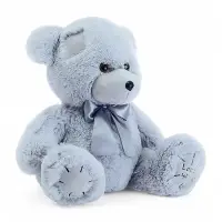 Мягкая игрушка &laquo;Медведь Тед&raquo;, цвет пепельный, 38 (68) см