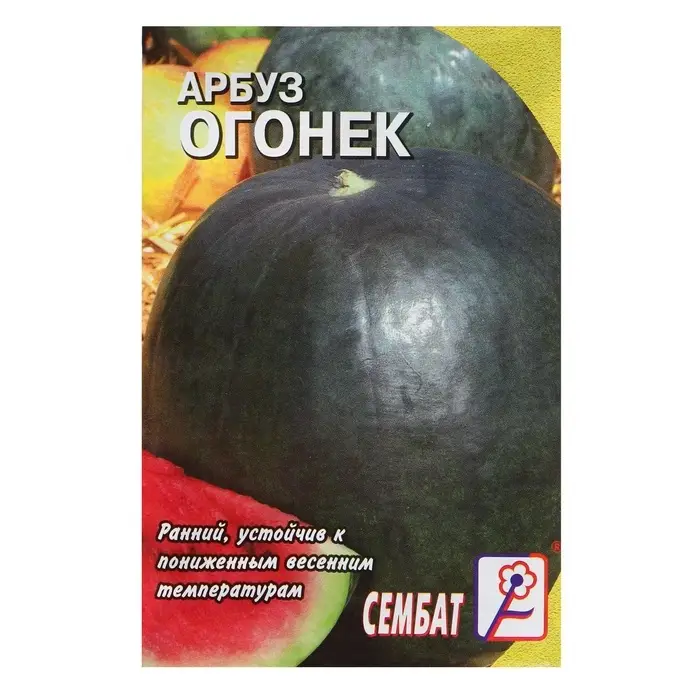 Семена Арбуз &laquo;Огонек&raquo;, 1 г, &laquo;Сембат&raquo;