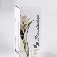 Ваза &laquo;Вента&raquo;, веточки, h=26 см, стекло, чёрная