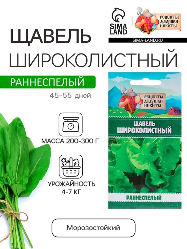 Семена Щавель "Широколистный", 1 г