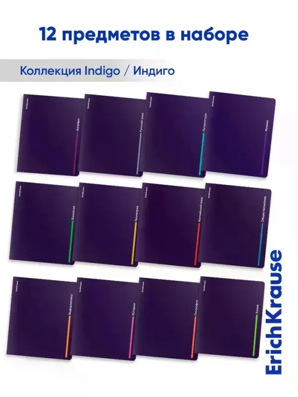 Набор предметных тетрадей ErichKrause Indigo, 12 предметов, 48 листов, с пластиковой обложкой