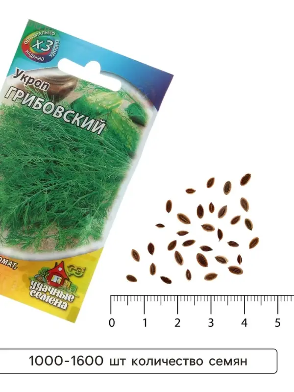 Семена укроп &laquo;Грибовский&raquo;, 2 г