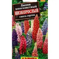 Семена цветов Люпин Низкорослый, смесь сортов Мн, Ц/П,15 шт. Семена цветов Люпин Низкорослый, смесь сортов Мн, Ц/П,15 шт.