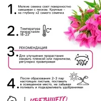 Семена цветов лобелия «Розамунда», 5 шт. Семена цветов лобелия «Розамунда», 5 шт.