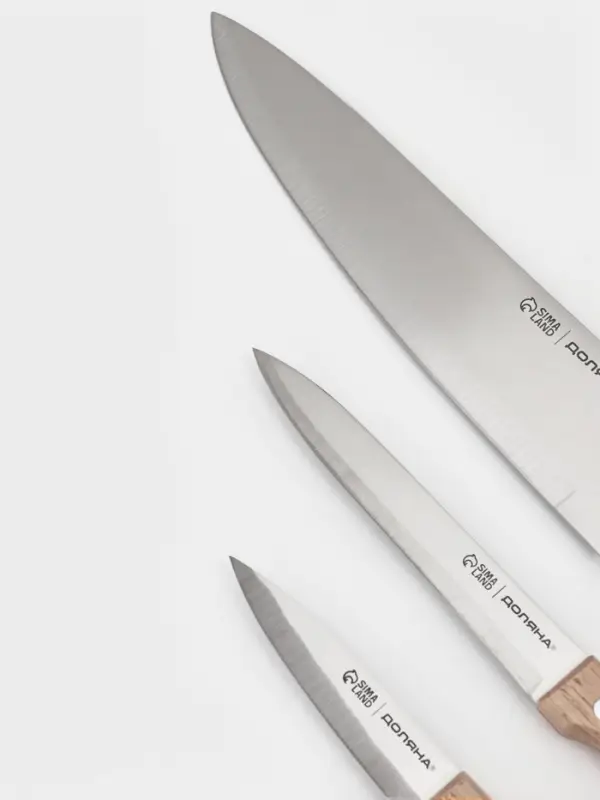 Набор кухонных ножей Доляна Wood, набор 3 шт., лезвие: 8 см, 12 см, 19.5 см, ручка деревянная