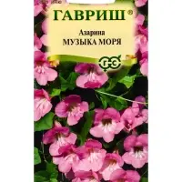 Семена цветов Азарина Музыка моря * 0,01 г