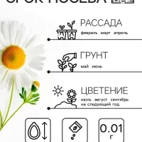 Семена Ромашка "Гигантелла", 0,01 г