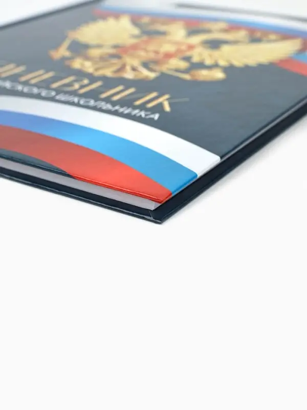 Дневник школьный 1-4 класс &laquo;Россия&raquo;, твердая обложка 7БЦ, глянцевая ламинация, 48 листов
