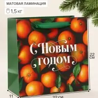 Пакет подарочный &laquo;С Новым годом&raquo;, мандарины, 22&times;22&times;11 см