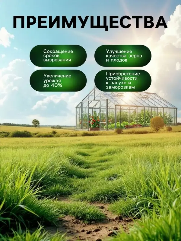 Органическое удобрение для овощных культур Greenlife, 500 мл