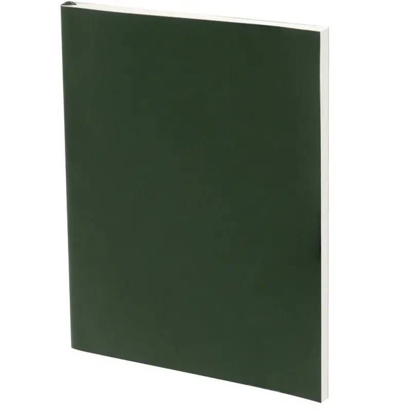 Ежедневник Flat Light, недатированный, зеленый Ежедневник Flat Light, недатированный, зеленый