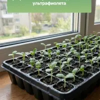 Кассета для рассады Greengo на 105 ячеек, по 20 мл, из пластика, чёрная, 55&times;29.5&times;3 см