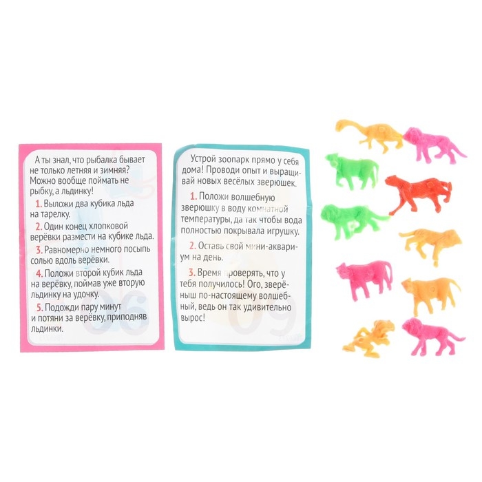 Набор для опытов 13 дней «Новогодний адвент-календарь», 13 опытов