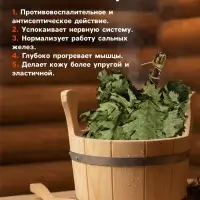 Веник для бани, дубовый, 55 см, с полынью, &laquo;Добропаровъ&raquo;