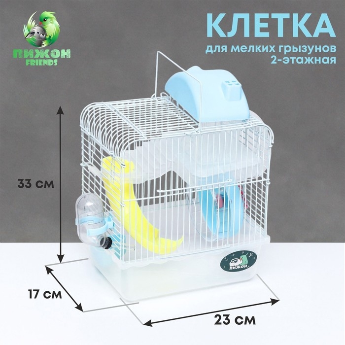 Клетка для грызунов Клетка для грызунов "Пижон", 23 х 17 х 33 см, прозрачная, голубое наполнение