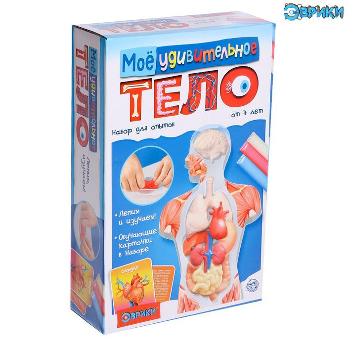 Набор для опытов «Моё удивительное тело» Набор для опытов «Моё удивительное тело»