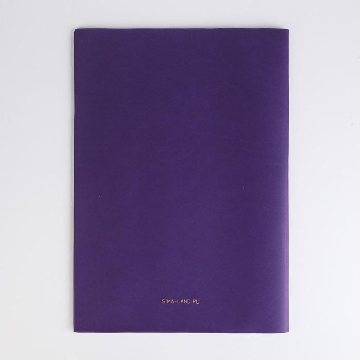 Папка для документов «Docs», 8 файлов А4 Папка для документов «Docs», 8 файлов А4