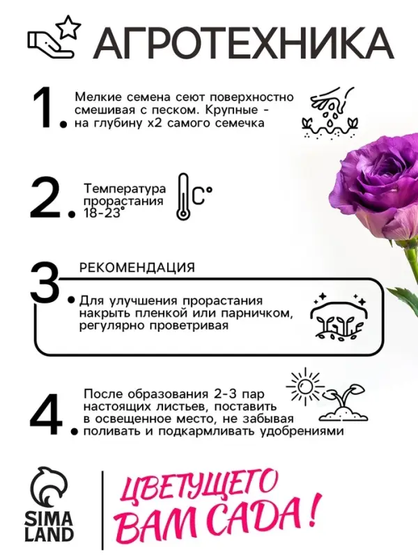 Семена цветов Эустома &laquo;Эйбиси&raquo;, F1, пурпурная крупноцветковая махровая, 5 шт., &laquo;Аэлита&raquo; селекция PanAmerican Seed