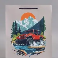 Пакет подарочный "Путь сильных" ламинированный 26 х 12 х 32 см