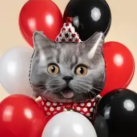 Воздушный шар фольгированный 29" &laquo;Кот в колпаке&raquo;