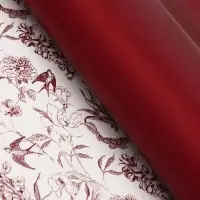 Пленка для цветов, "Романтика", винный, 57х57 см