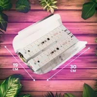 Фитопрожектор для растений Luazon Lighting СДО09-100, светодиодный, 100 Вт, IP65, 220 В, бескорпусный, мультиспектральный