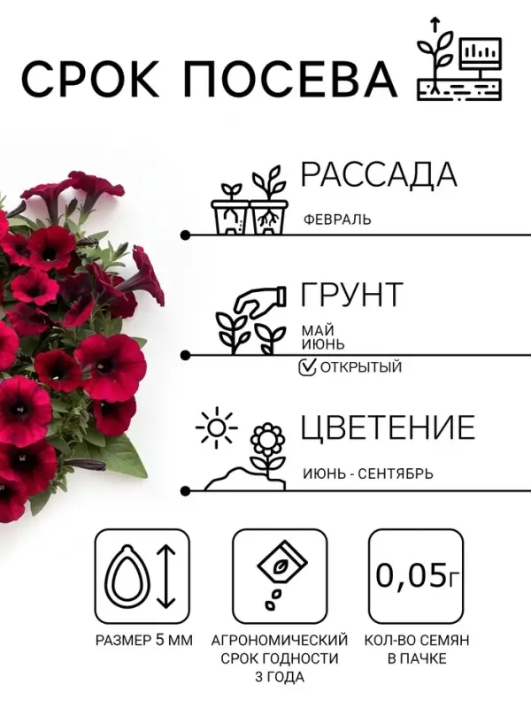 Семена цветов Петуния ампельная &laquo;Шок Вейв Дип Парпл&raquo;, F1, 5 шт., &laquo;ПОИСК&raquo;