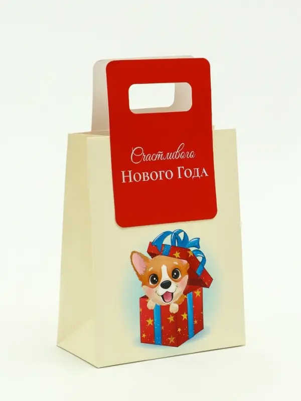 Пакет подарочный с вырубной ручкой «Лучший подарок»18×23×9 см, красный Пакет подарочный с вырубной ручкой «Лучший подарок»18×23×9 см, красный
